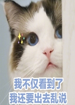 �Ҳ����������һ�Ҫ��ȥ��˵�ɰ�è������