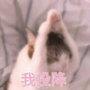 ��е�������ͼ0