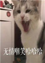 ���鳰Ц�����������