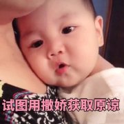 �߲���������ͼƬ��ͼ0