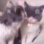 �߲���������ͼƬ��ͼ3