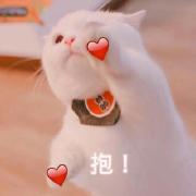 �߲���������ͼƬ��ͼ7