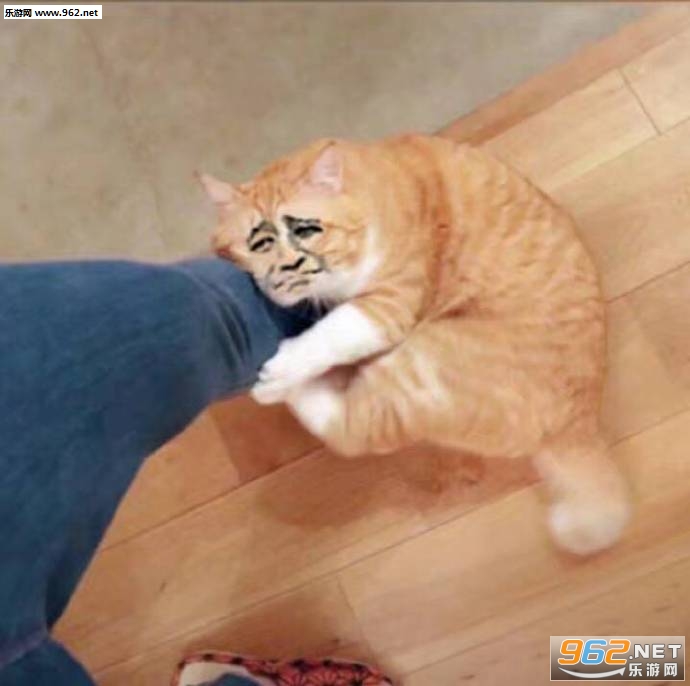 ��������డè��������ͼ2