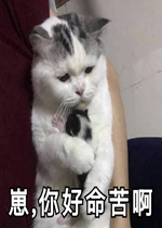 ��������డè������