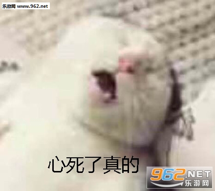 ���������ɧ�����������ͼ3
