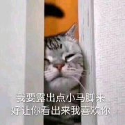 ����ô�ɰ��������ͼ2