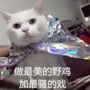 ����ô�ɰ��������ͼ0