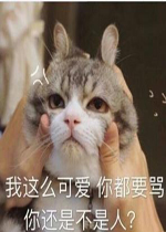 ����ô�ɰ������