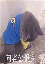Ц���𽥱�̬�����