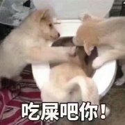 �Ե�����һЦͼƬ��ͼ1