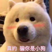 �Ե�����һЦͼƬ��ͼ4