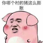 �����������������ͼ1