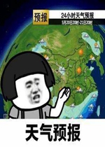 ����Ԥ����ҹ�����������е�����gif�����