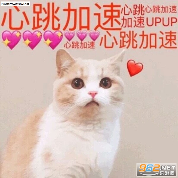 ������Ů�Һ��۱������ͼ8