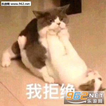 һλȺ��ͻȻʧȥ����è��������ͼ1