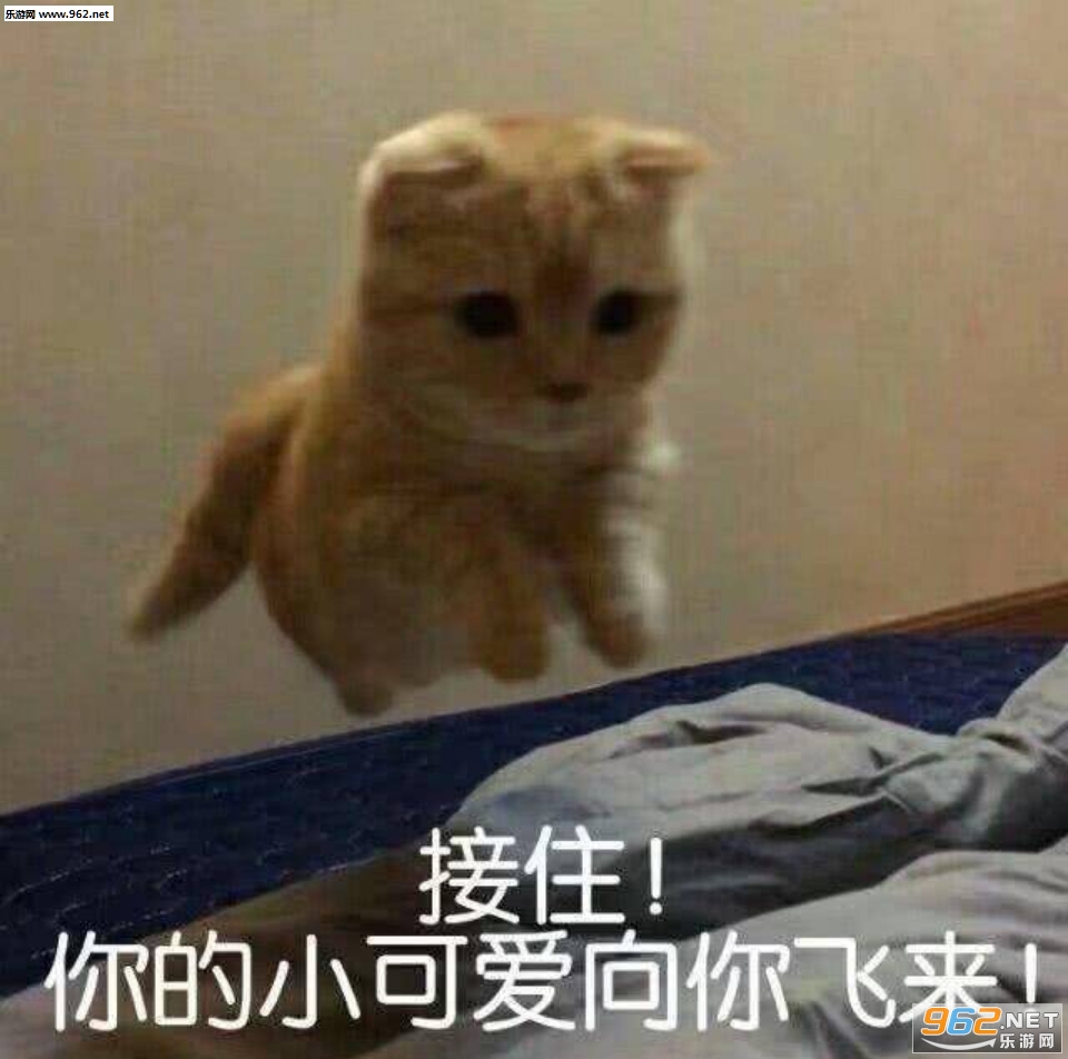 һλȺ��ͻȻʧȥ����è��������ͼ2