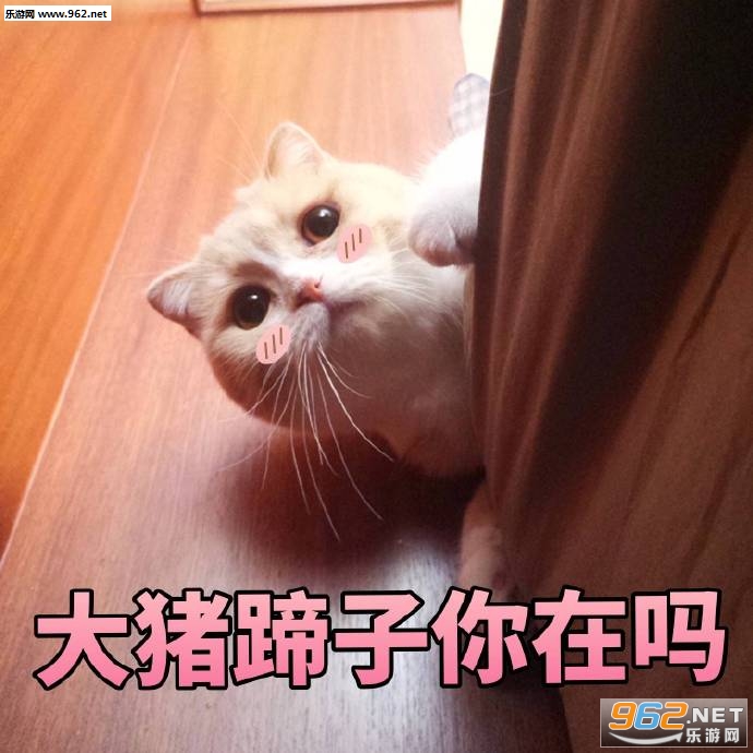 �����Һ���Ҫ�����˱����ͼƬ��ͼ5