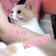 �����ǵ������þ��˱������ͼ2