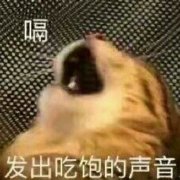 �����ǵ������þ��˱������ͼ0