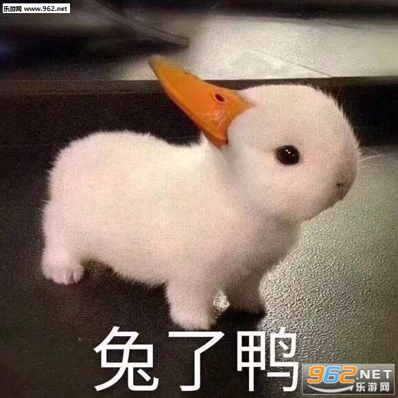 ��Ҫ���˱������ͼ0
