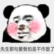 �ǿ��ɲ��������ͼ��ͼ1