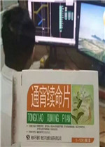 �����趼ʲô�˼����п󰡱����