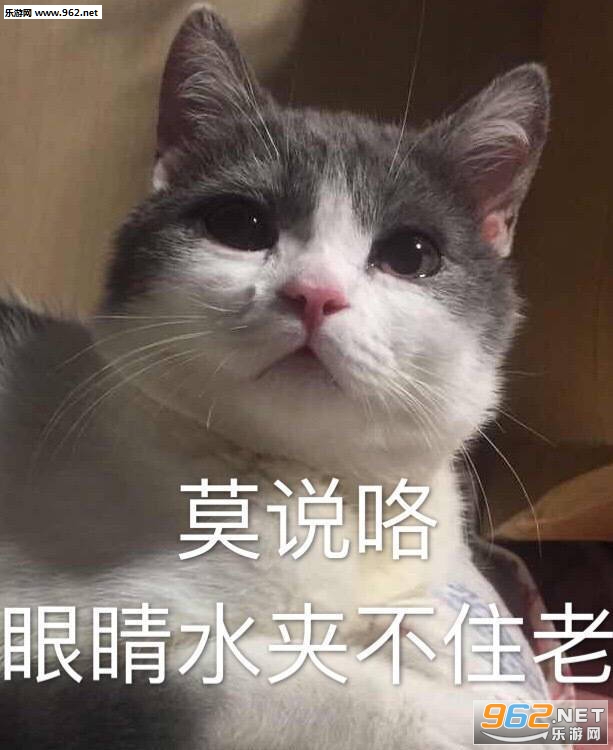 Ī˵���۾�ˮ�в�ס��è������ͼƬ��ͼ1