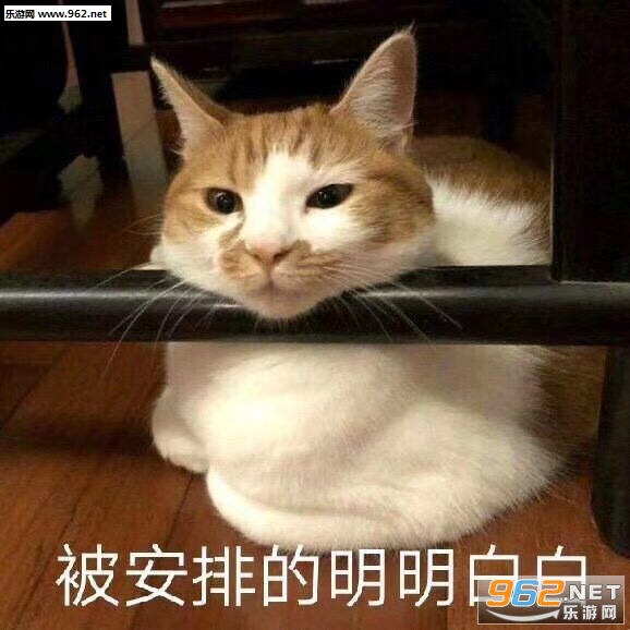 Ī˵���۾�ˮ�в�ס��è������ͼƬ��ͼ5