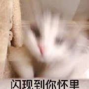 �ҵ���Ѽ����ͼƬ��ͼ2