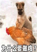 ΪʲôҪ���������
