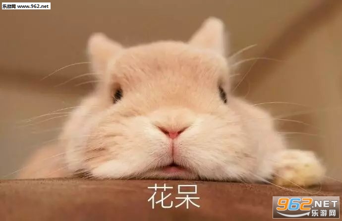 �����Ϸ����Ů�ı������ͼ3