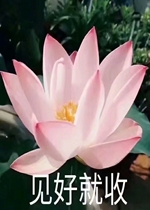 ���þ������������������