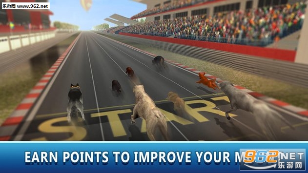 Dog Racing Tournament 2(Dog Racing Tournament Sim 2安卓版)截图1