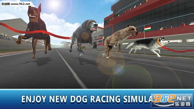 Dog Racing Tournament 2(Dog Racing Tournament Sim 2安卓版)截图3