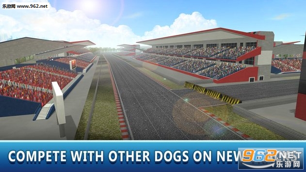 Dog Racing Tournament 2(Dog Racing Tournament Sim 2安卓版)截图2