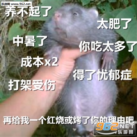 ��û��������û������������Ƭ�������ͼ0