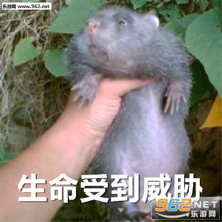 ��û��������û������������Ƭ�������ͼ3