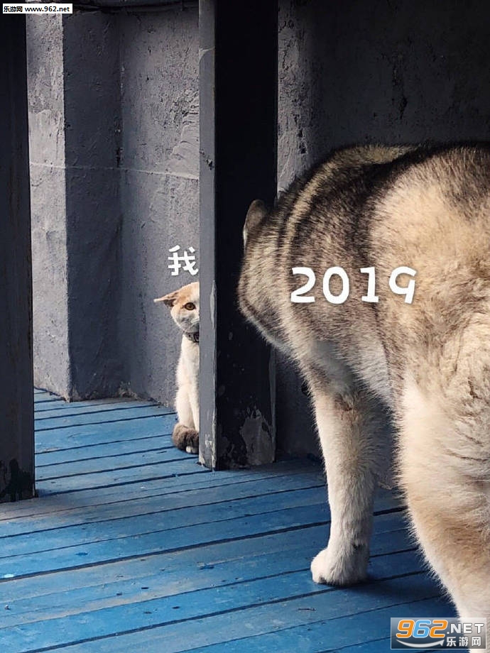 2019����Һ�һ������ͼƬ