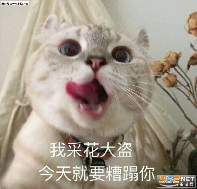 �Һܸ߹�����û�л�������ͼƬ