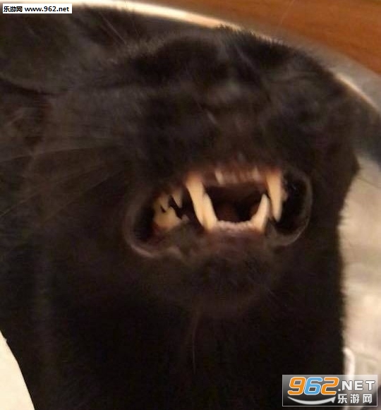 �������̫�����ź������