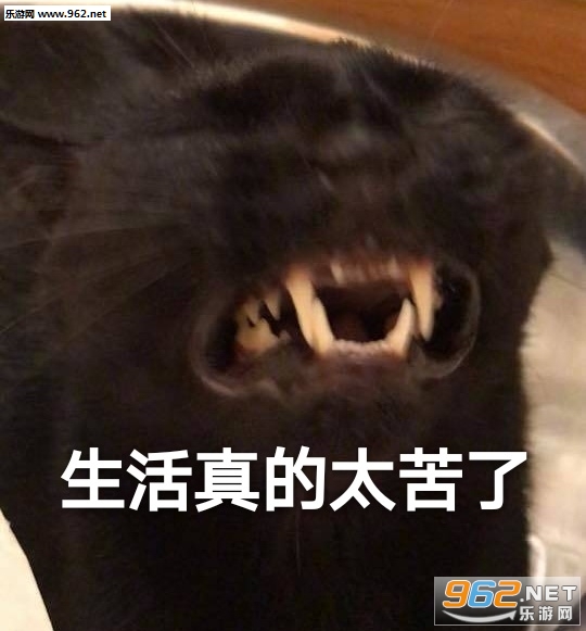 �������̫�����ź������