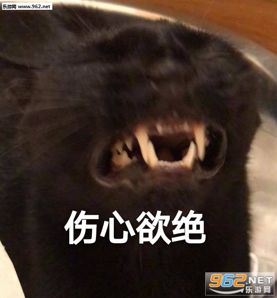 �������̫�����ź������