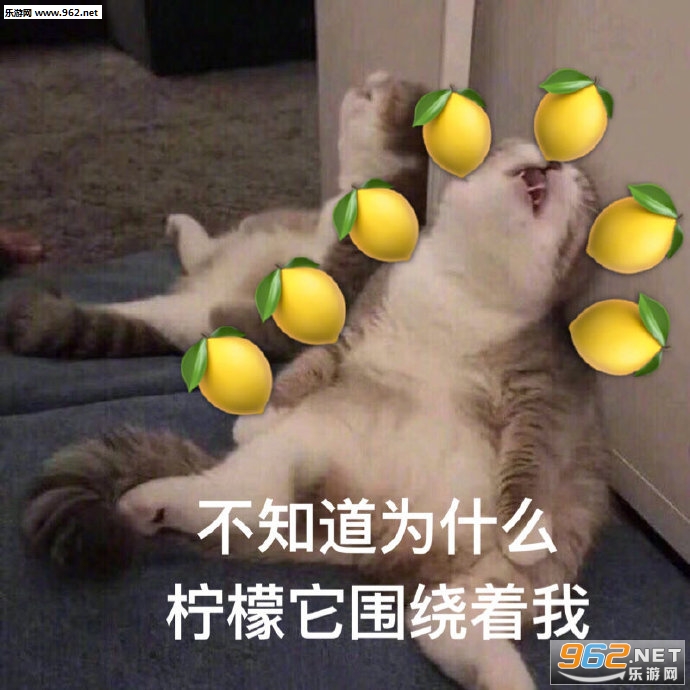 �����Ĵ��ʱ����
