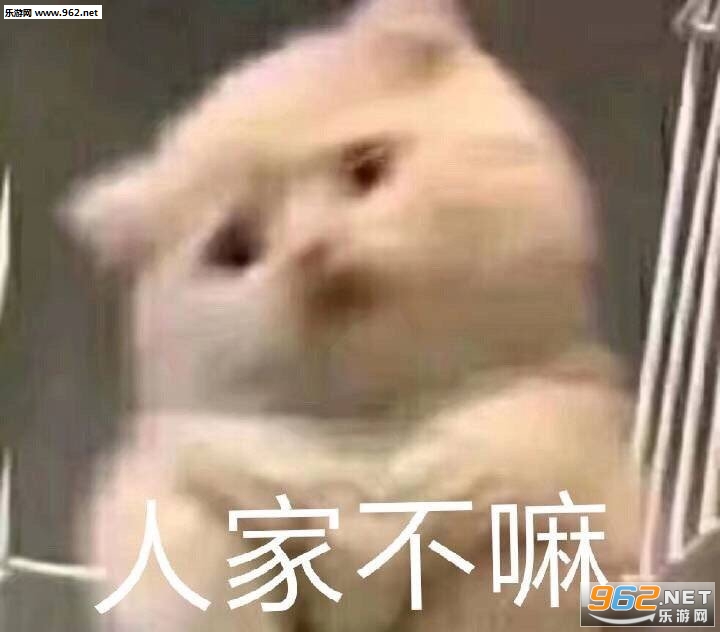 ����ͼ��ݵĵ�������ͼƬ