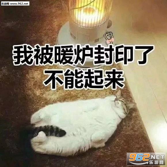 ����Ҫ����������ͼƬ