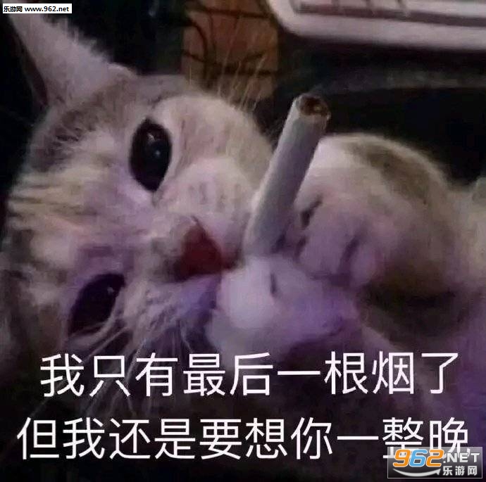 我是鳌拜的弟弟熬夜搞笑表情包