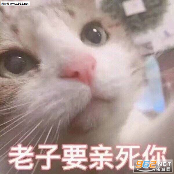 �豸���ܺ��˾͵����㴵ţ���˱����