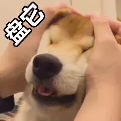 ����Կ���������Ҳ�̱����