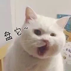����Կ���������Ҳ�̱����