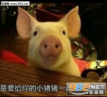 �����кð�ҪǮ�����